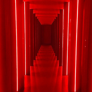 Francis Dance – Another One